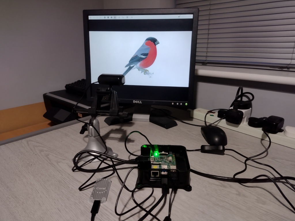 AI Birdcam with ROCK 4SE
