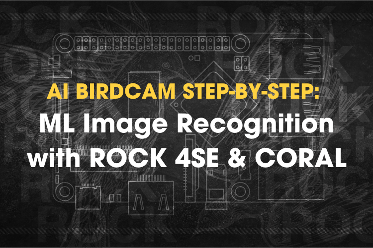 AI Birdcam with ROCK 4SE